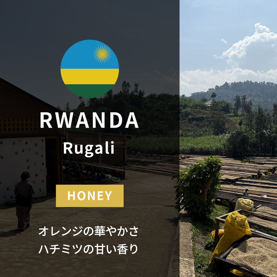 Rwanda Rugali Honey(24/25年クロップ) | ORIGIN COUNTRIES for Small
